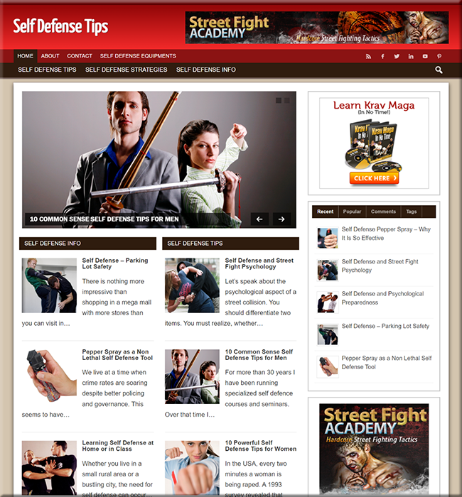 self defense plr niche blog