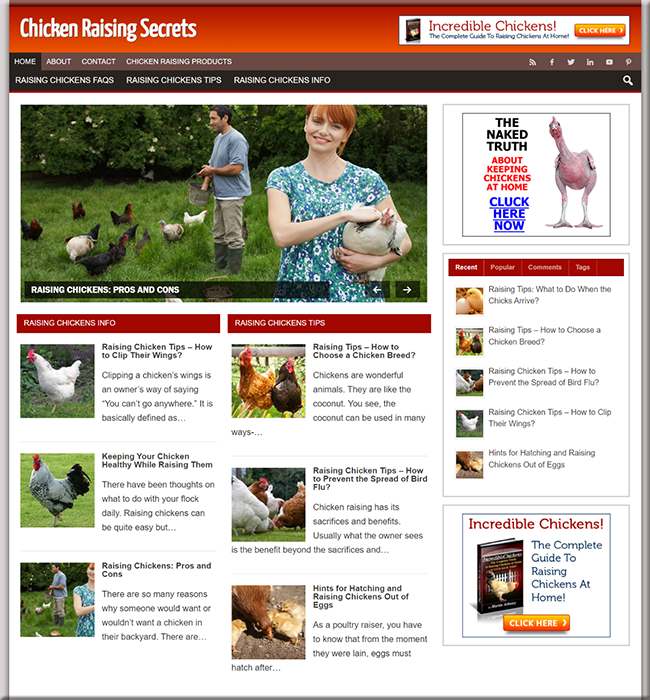 chicken raising plr niche blog