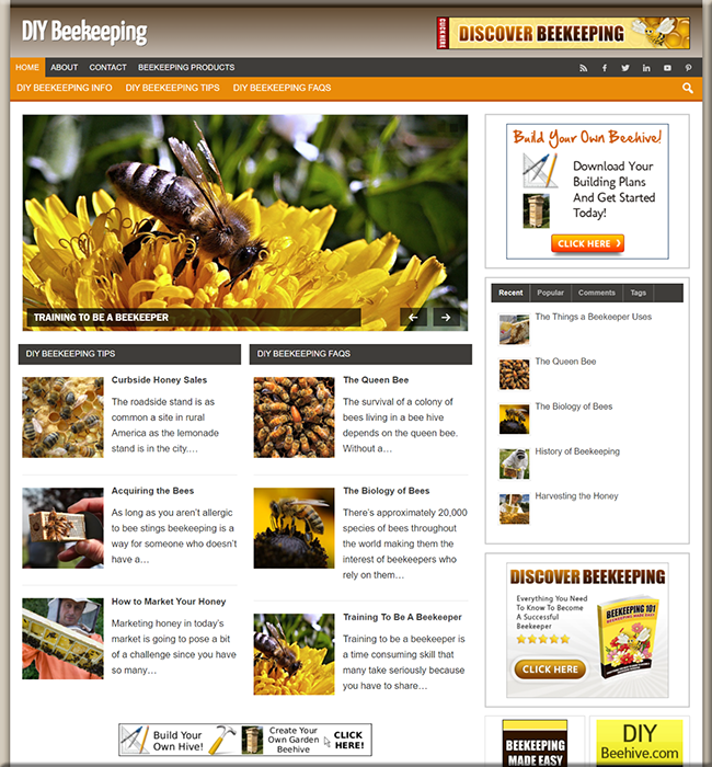 diy beekeeping plr niche website