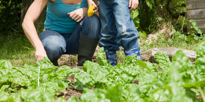 organic garden euxt template