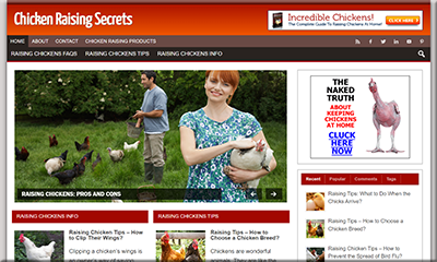 Chicken Raising PLR Niche Blog