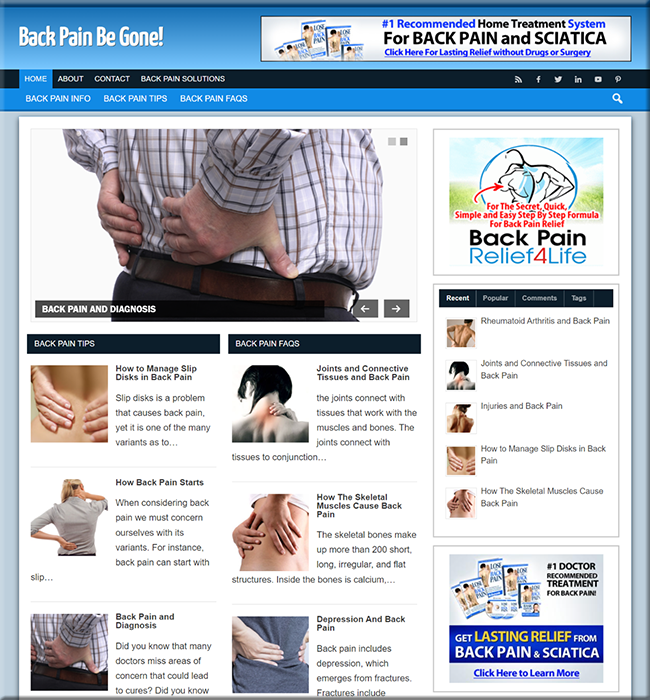 back pain be gone niche blog