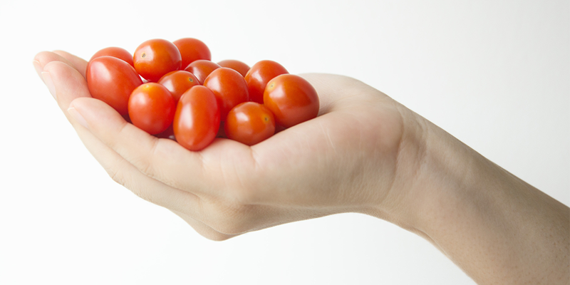 organic foods abnc template