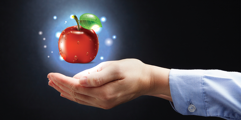 organic foods yxuq niche blog