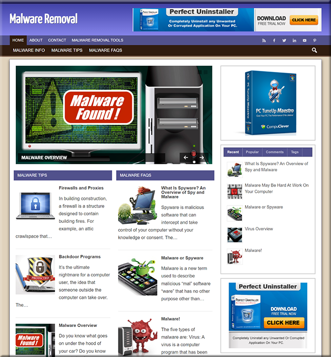 malware removal plr niche website
