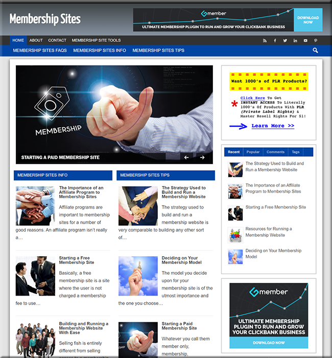 Membership Sites PLR Niche Website membership sites plr niche website