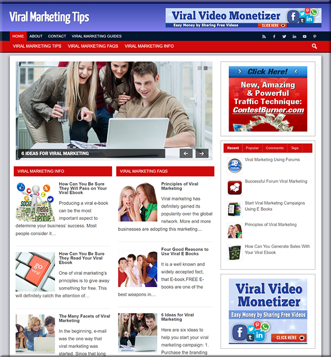 viral marketing niche plr website