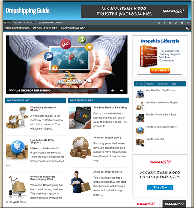 dropshipping guide niche blog