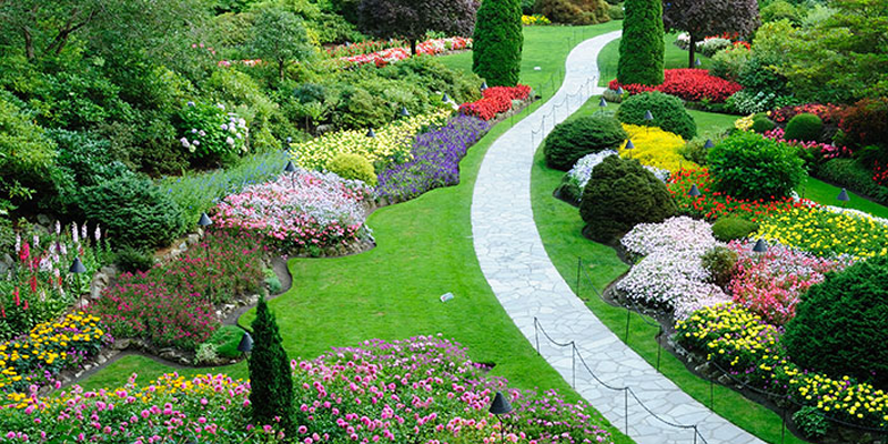 landscape design apyi niche blog