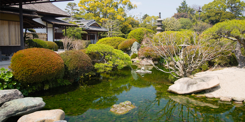 landscape design okvb template