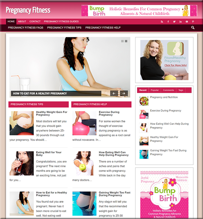 Pregnancy Fitness PLR Website pregnancy fitness plr website