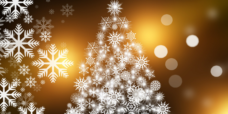 christmas lights yozw niche blog