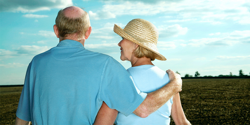 divorce sedj template