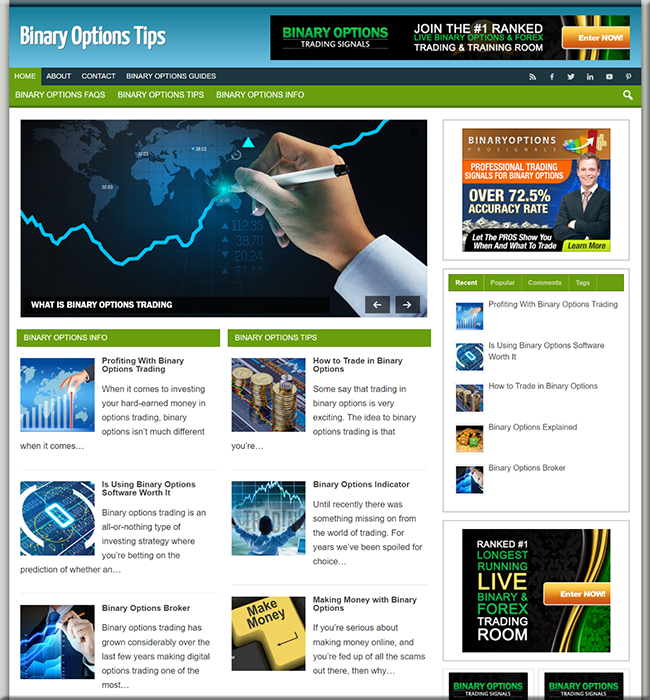 Binary Options Niche PLR Website binary options niche plr website