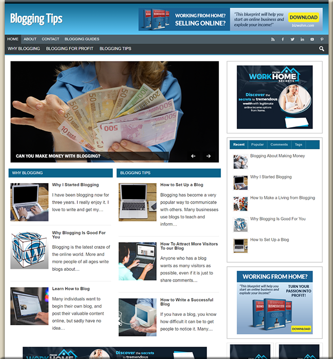 blogging tips plr niche blog