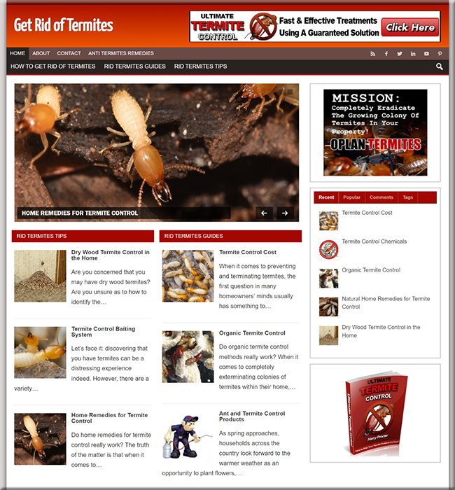 get rid termites plr blog