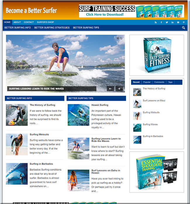 better surfer niche website