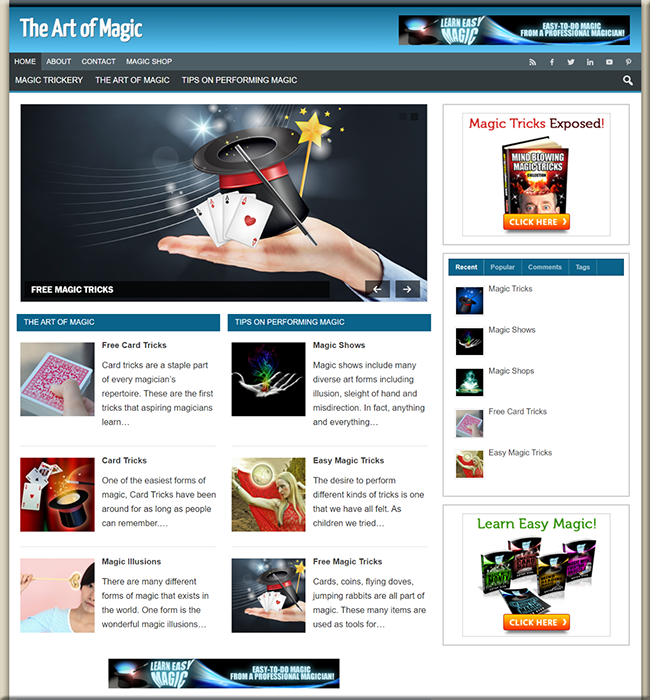 magic blog plr niche blog