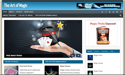 Magic Blog PLR Niche Blog