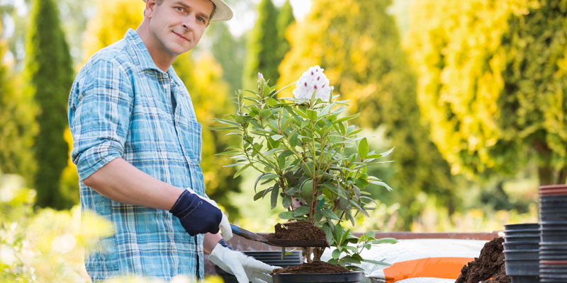 Garden Pest Lyts Niche Blog garden pest lyts niche blog