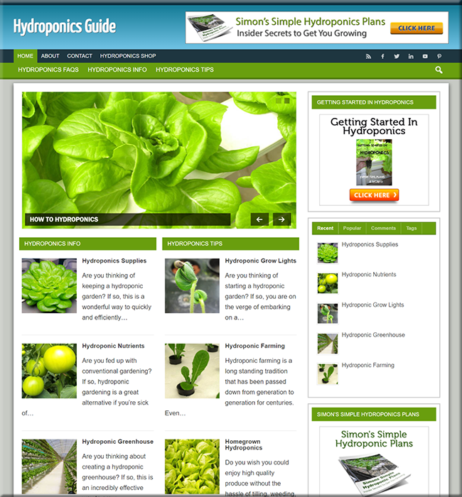 hydroponics guide plr blog