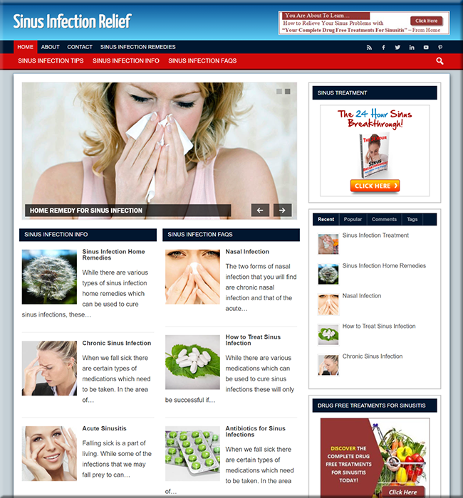 sinus infection plr niche blog