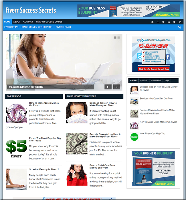 fiverr success plr niche website