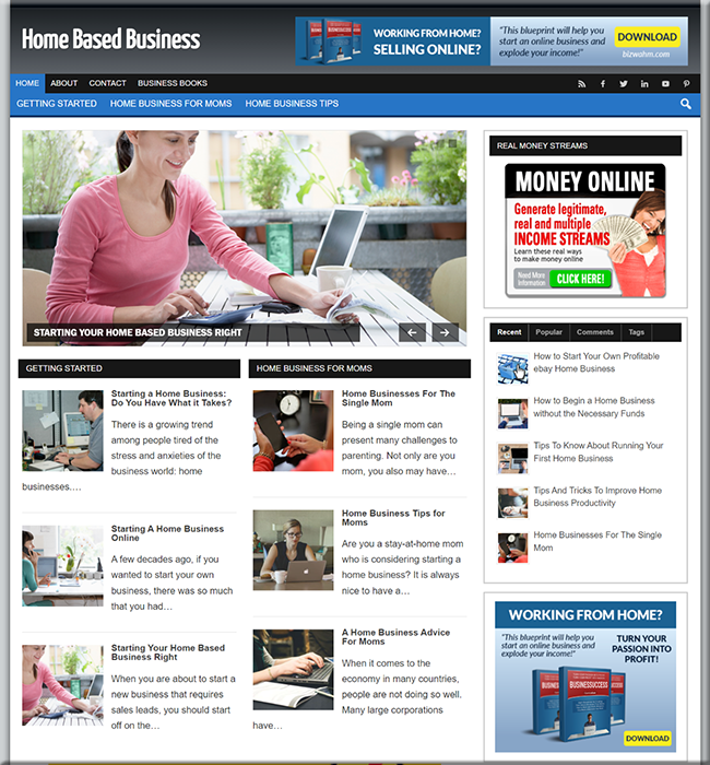 Home Based Business PLR Site home based business plr site
