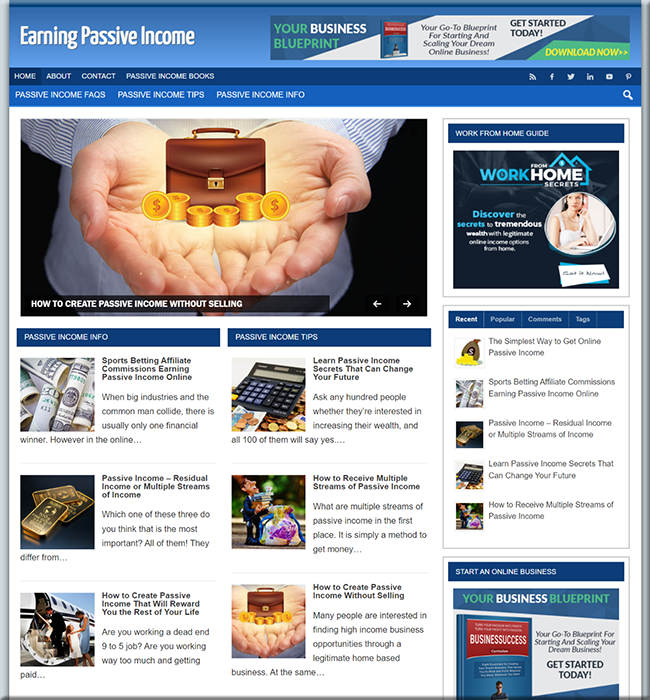 passive income niche plr website