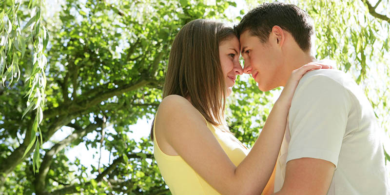 him desire txgp template