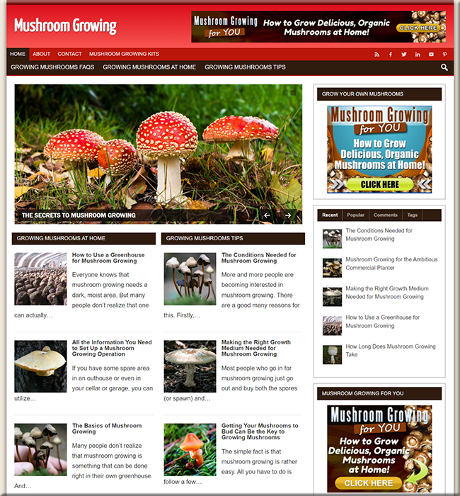 grow mushrooms niche website