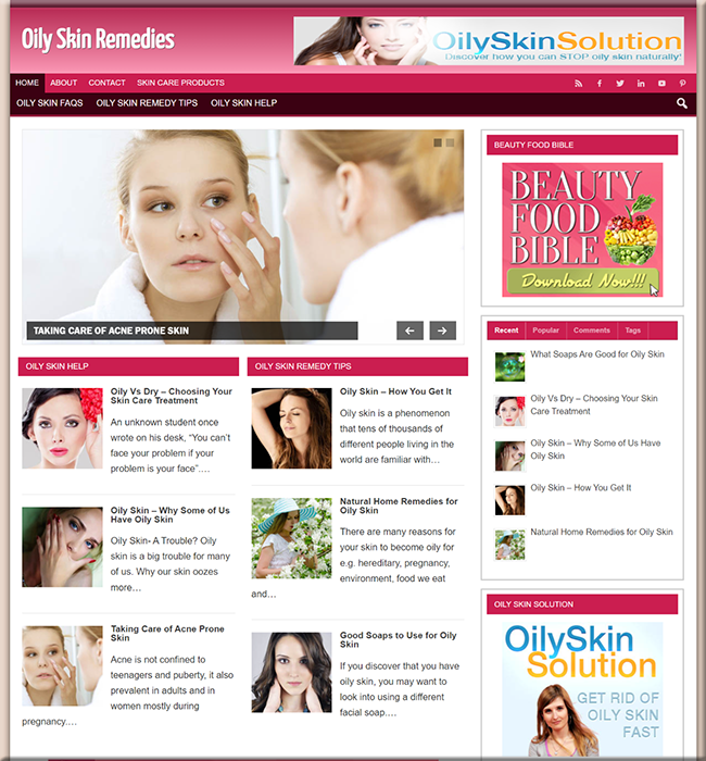 oily skin remedy plr niche blog