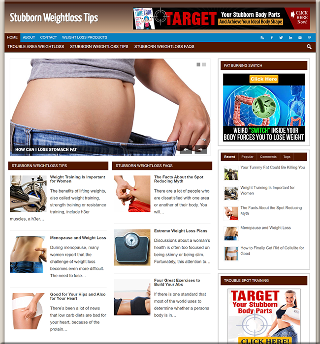 stubborn weightloss niche blog