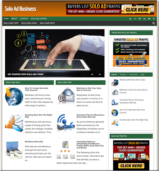 solo ads niche plr website