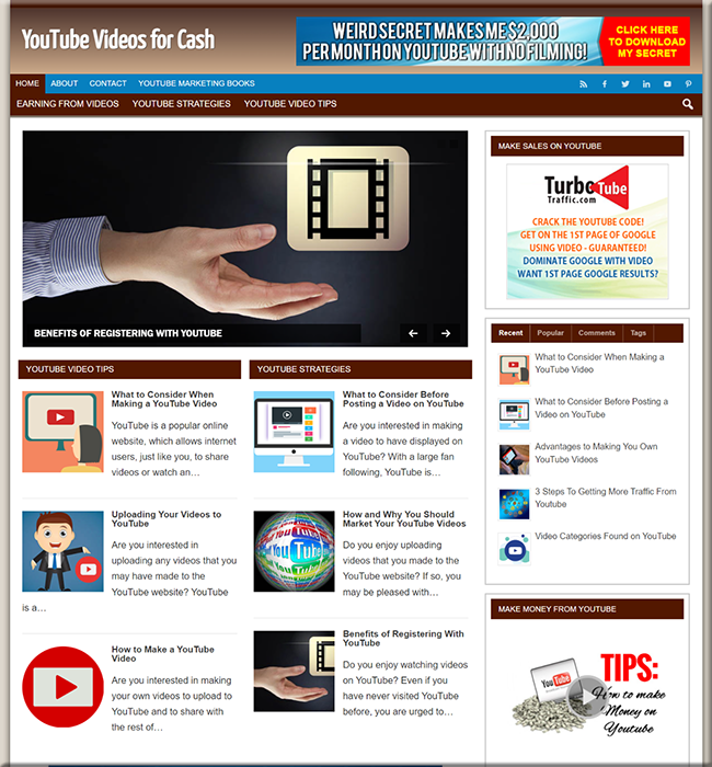 youtube cash plr niche website