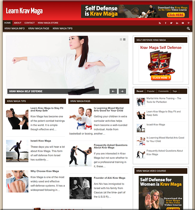 krav maga niche plr blog