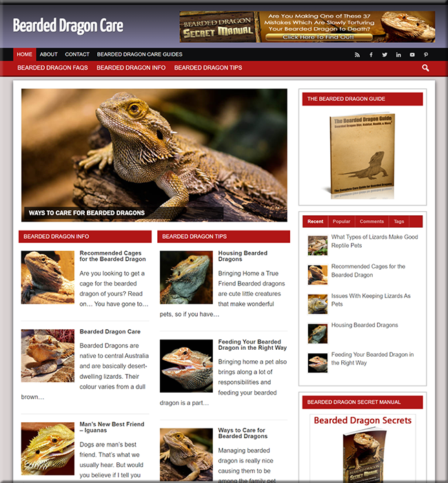 Bearded Dragons Niche Website bearded dragons niche website