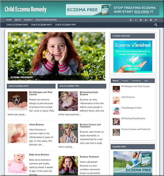 child eczema plr niche website