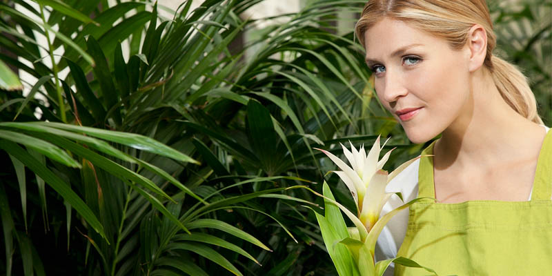 greenhouse ezns niche blog