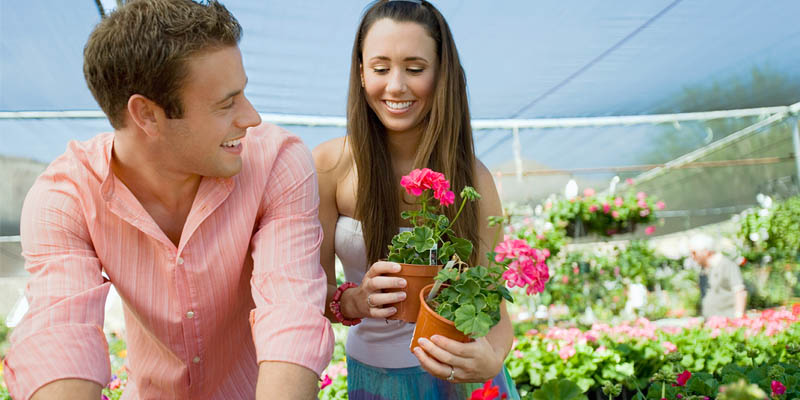 greenhouse qzdn template