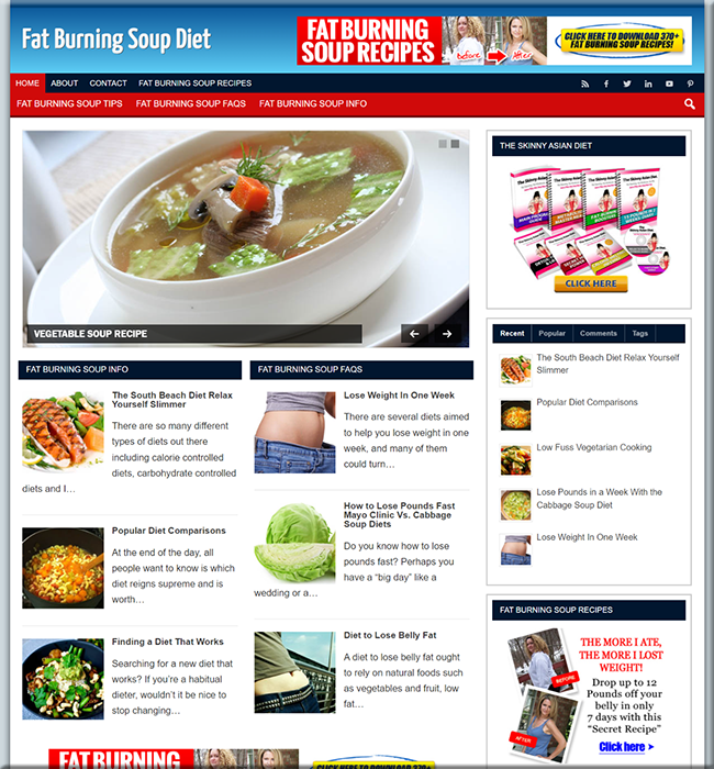 fat burning soup diet plr website