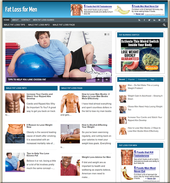 fat loss men plr niche blog