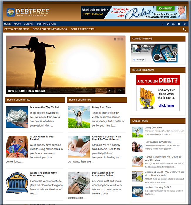 debt free plr niche website