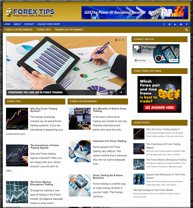 forex niche plr blog