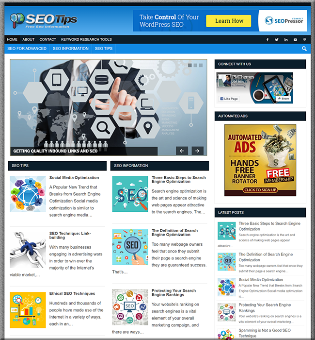 search engine optimization plr site