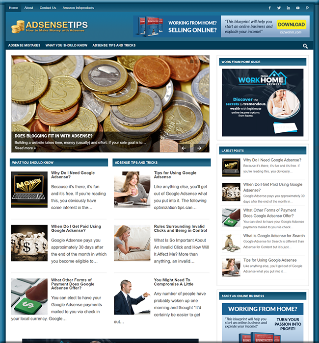 Adsense Guide PLR Niche Website adsense guide plr niche website