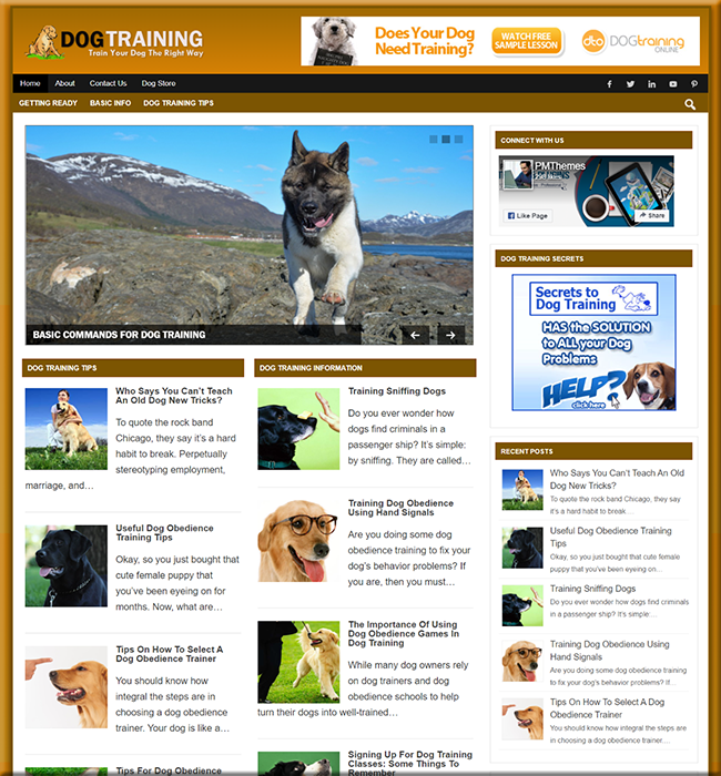 dog training plr niche blog