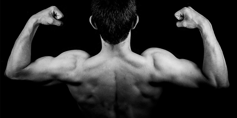 body building cjrp niche blog