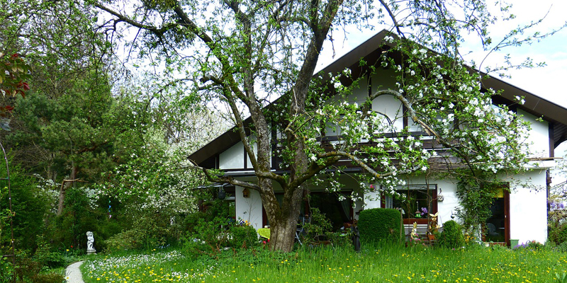 green living wcdp niche blog