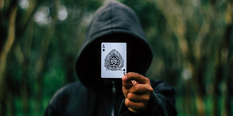 magic opkd niche blog